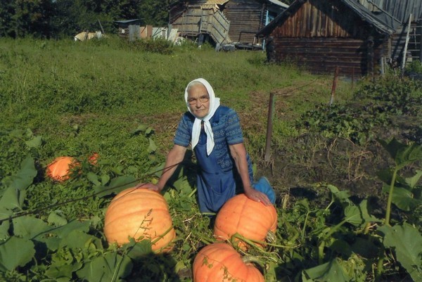 Подведены итоги фотоконкурса «Активное поколение – новое качество жизни»